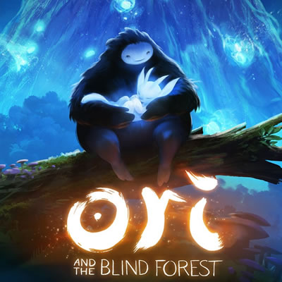 Ori and the Blind Forest sur PC